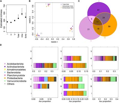 The Molecular Information About Deadwood Bacteriomes Partly Depends on the Targeted Environmental DNA